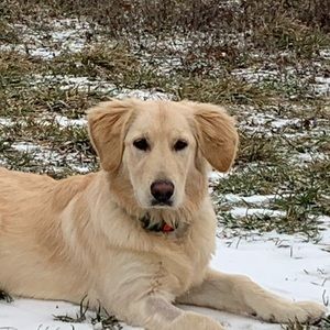 Meet your Posher, Robyn